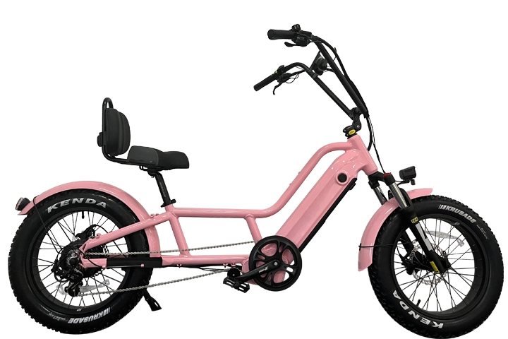 Electric Recumbent Bike