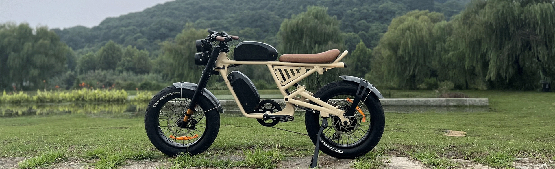 Fat Tire Moped-Style E-Bike