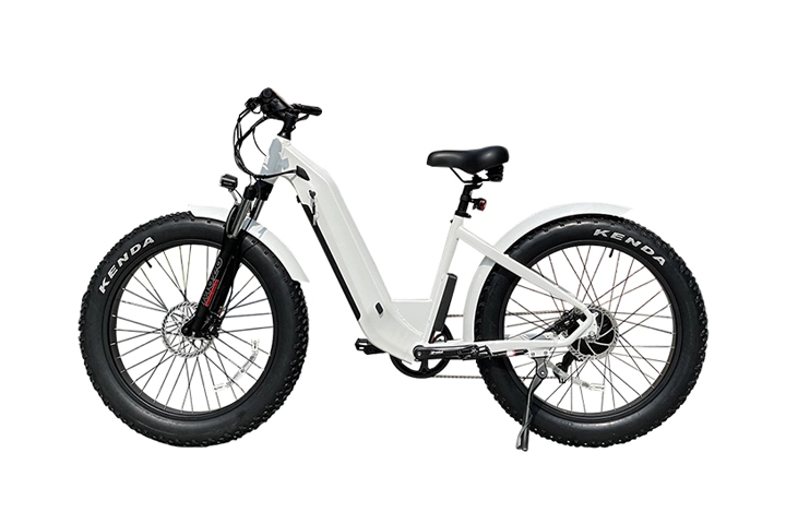 750w Electric Mountain Bike-3.webp