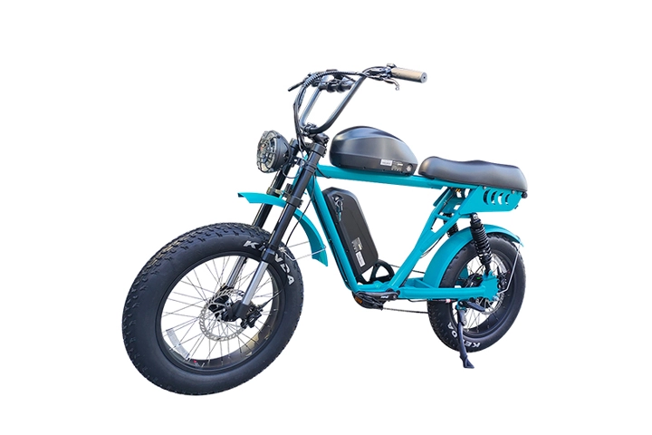 Dual Battery Ebike: Fat Tire Electric Bike Adventure