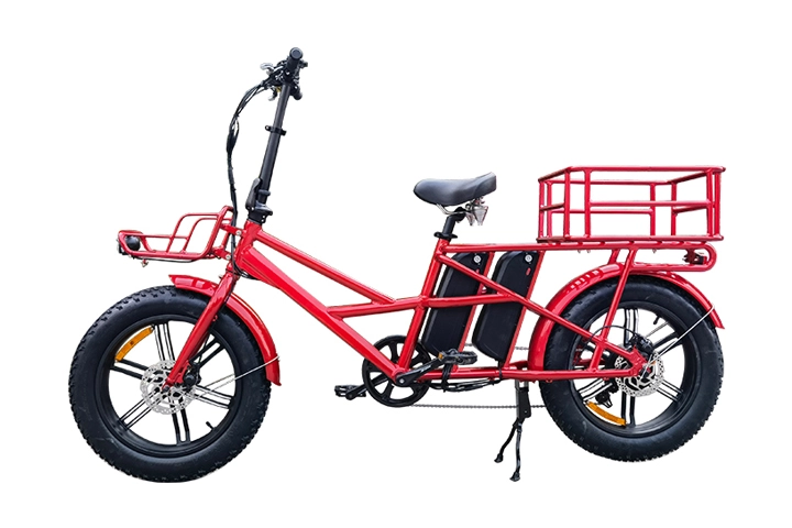 Dual Battery Electric Bike
