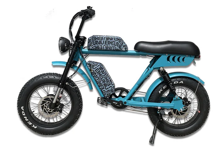 52V Dual Motor Dual Batteries Electric Bike