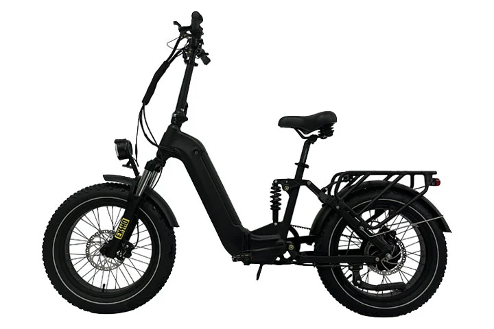 Belt Drive Electric Bike