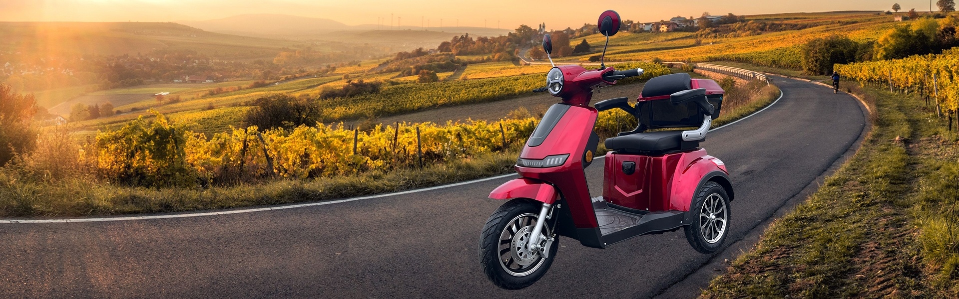 3 Wheel Motorised Electric Mobility Scooter.