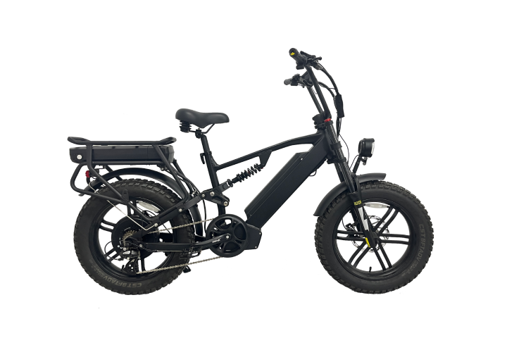 2000w electric moped bike for adults (1).png