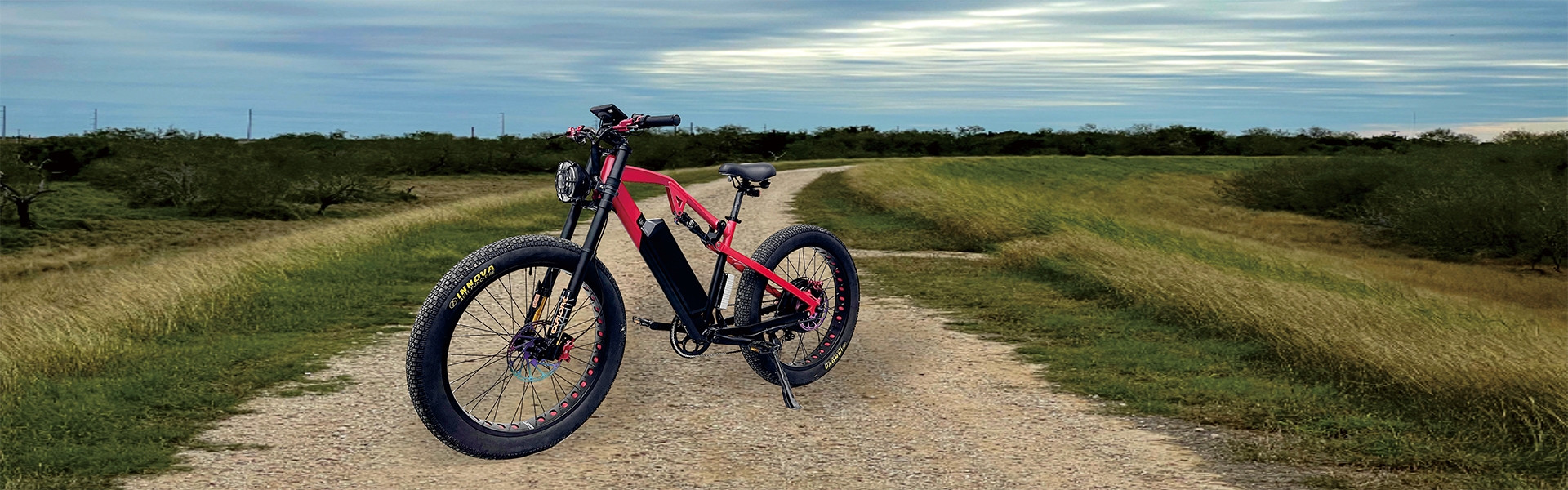 60v 2000w fat tire electric mountain bicycle