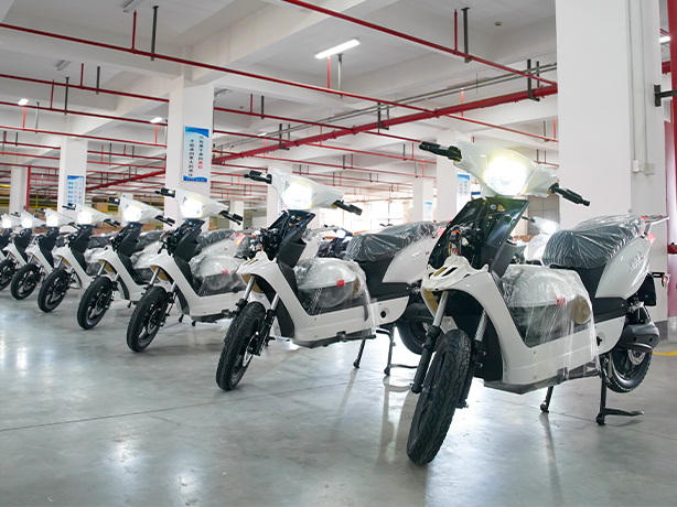 Gallery-Custom Electric Bike (3).jpg