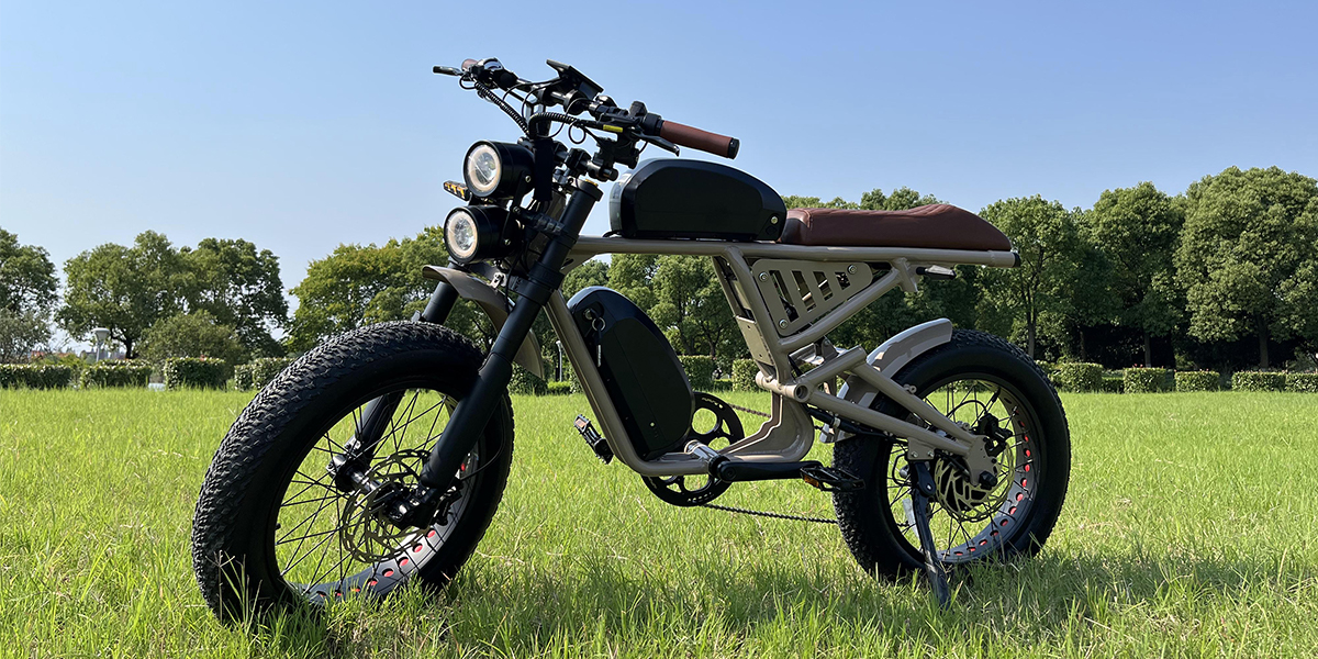 electric bicycle.jpg