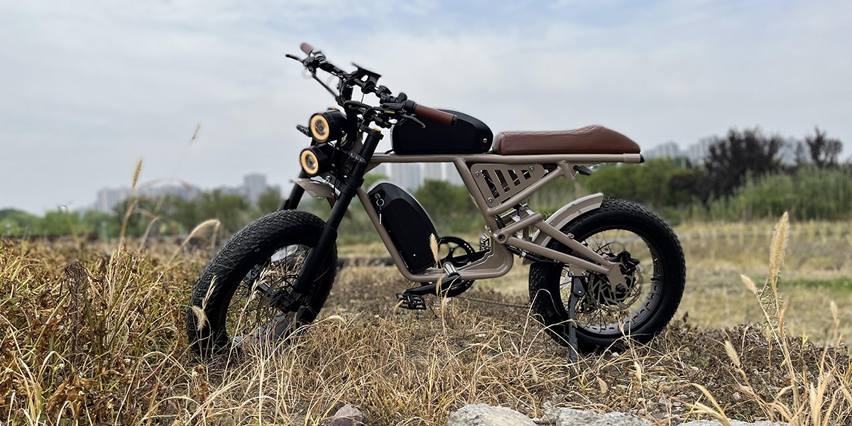 electric bikes.png