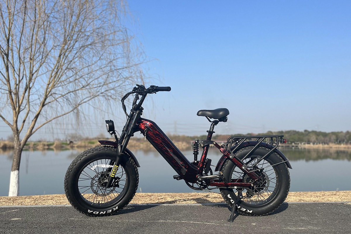 Electric bikes are all the rage-2.png