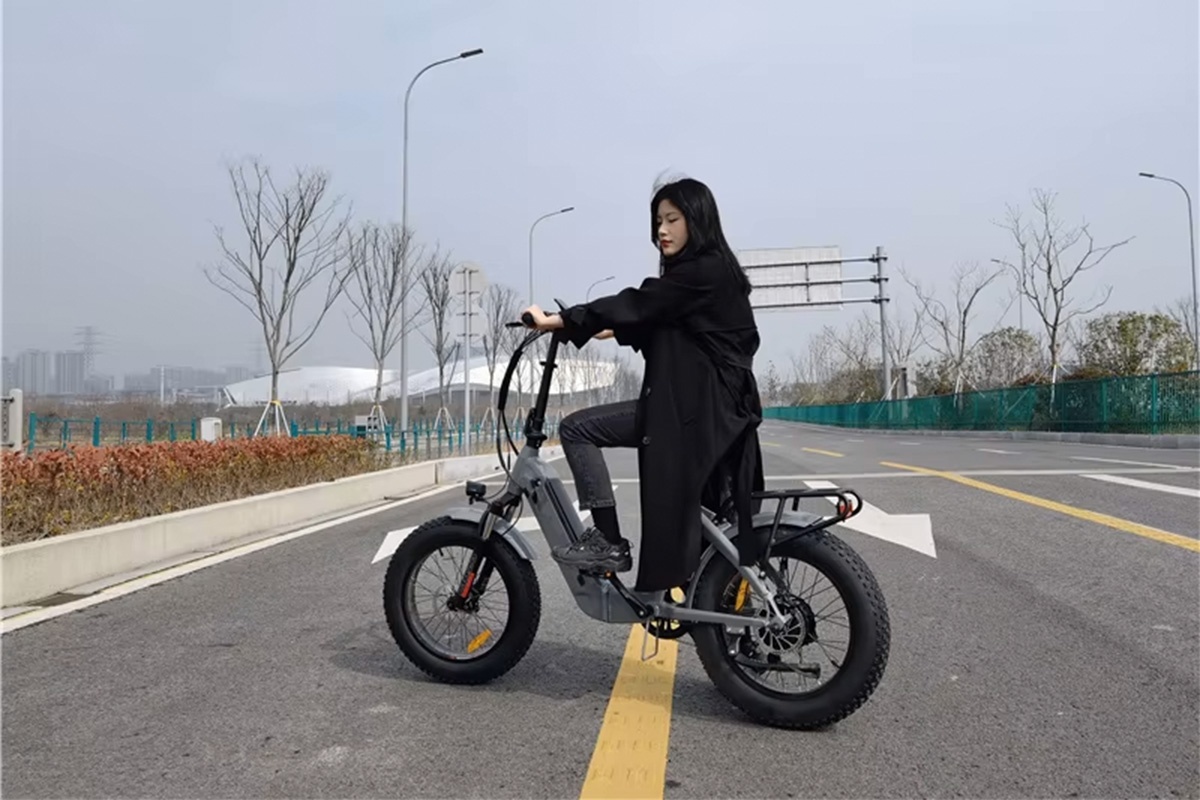 Electric bike-2.png