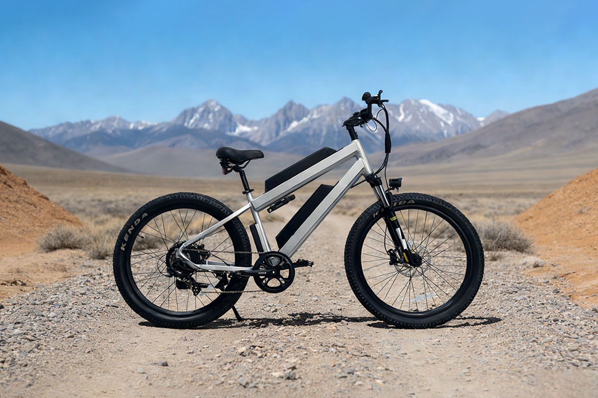 High-Performance E-MTB Bike.png
