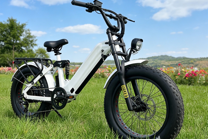 New Era of Cycling-2.png