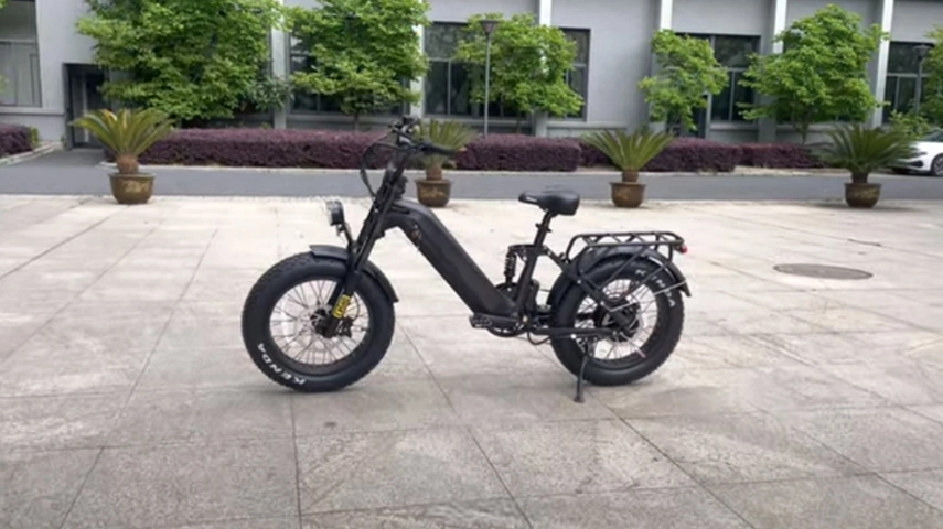 20'' Fat Tire 1200W 52V 28 MPH & 50 Miles Electric Bike Review