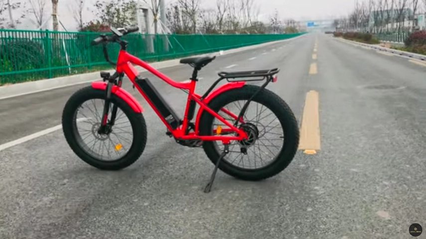 2021 Top Selling Fat Tire Electric Bike