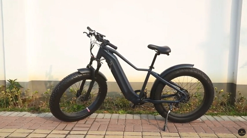 2022 Best 26 Inch Step-over Electric Fat Bike