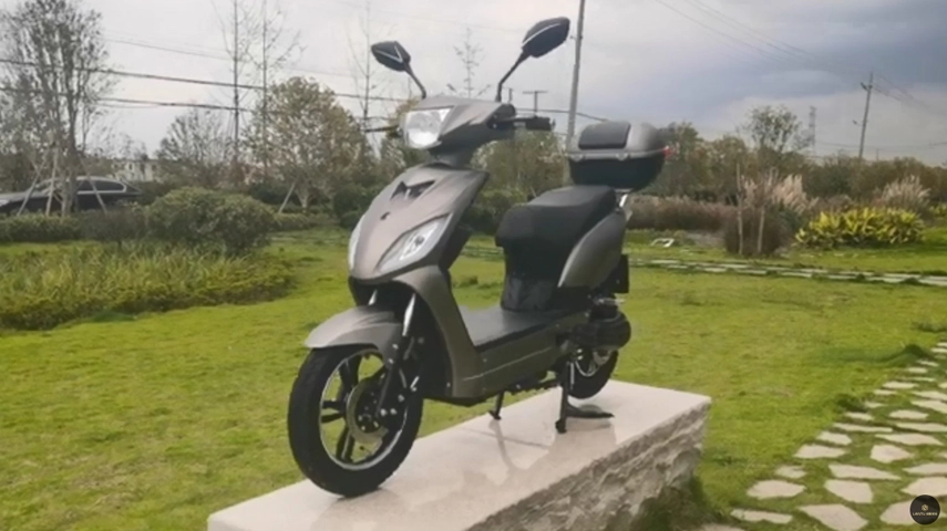 Best Selling Electric Scooter with Pedal Assisted