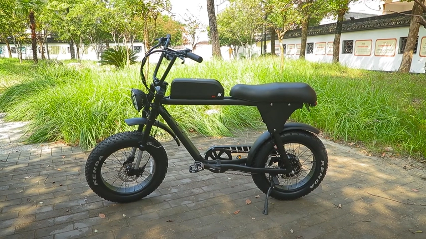 China Best Selling Retro Moped Style Electric Fat Bike