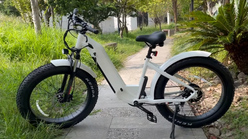 China Best Step Through Electric Fat Bike for Ladies