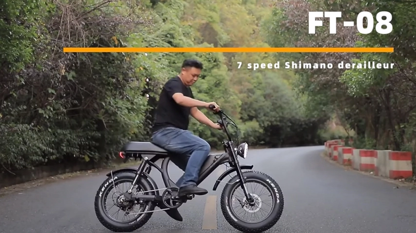 China Factory 750W Step Thru Fat Tire Ebike