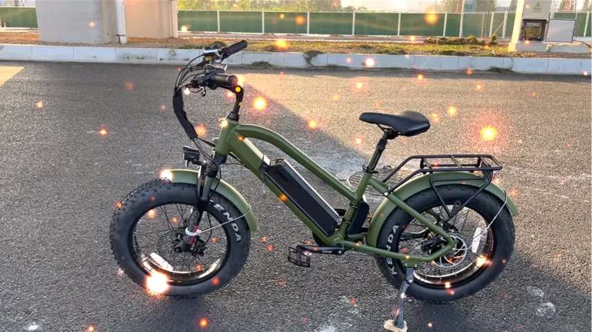 China OEM Factory 20 Inch 750W Fat Tire Step Thru Electric Bike for Lady