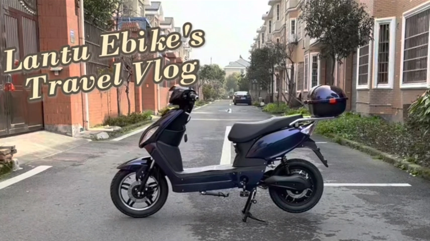 China Pedal Assist Electric Scooter Manufacturer