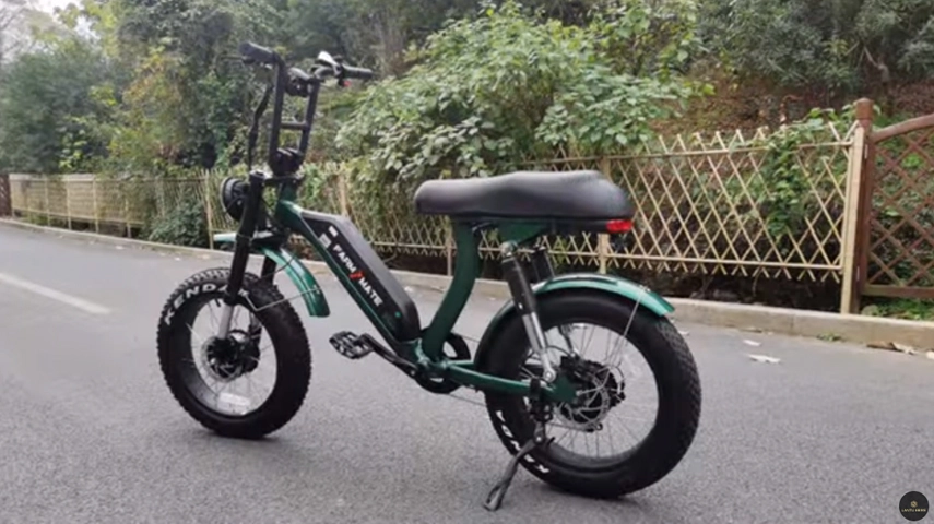 Dual Motors Fat Tire Electric Bicycle