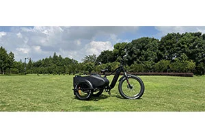 Electric Tricycles: The Future of Sustainable Transportation