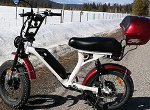 How Do Dual Motor Ebikes Work?