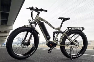 How Much Power Do Electric Bikes Need?