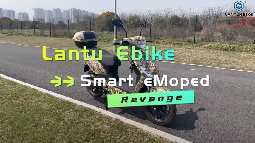 Intelligent System EMoped Review