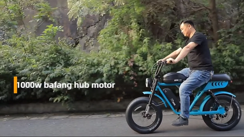 New Design Dual Batteries 1000W Electric Fat Bike