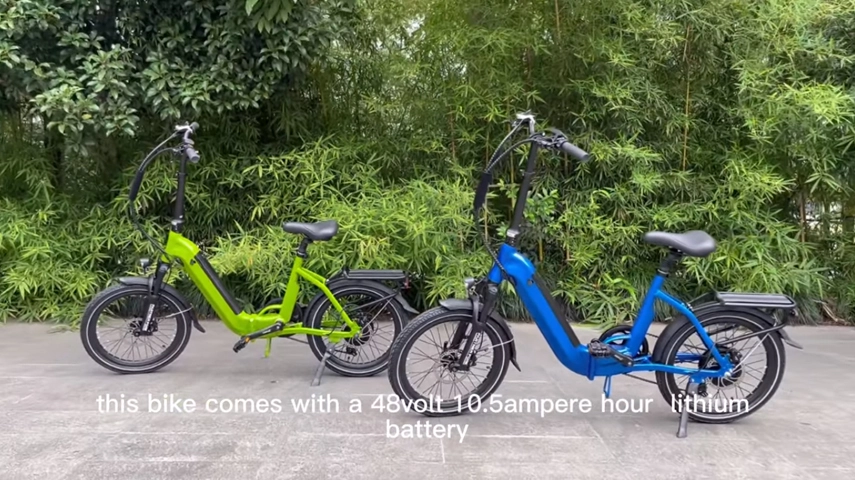 OEM Factory Mini Electric Folding Bike