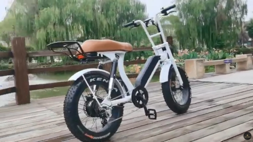 Top Ten Beach Cruiser Electric Bicycle