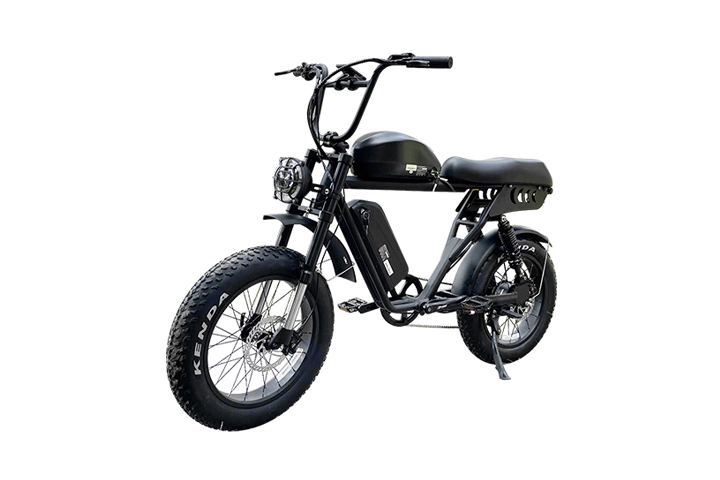 ebike fatbike