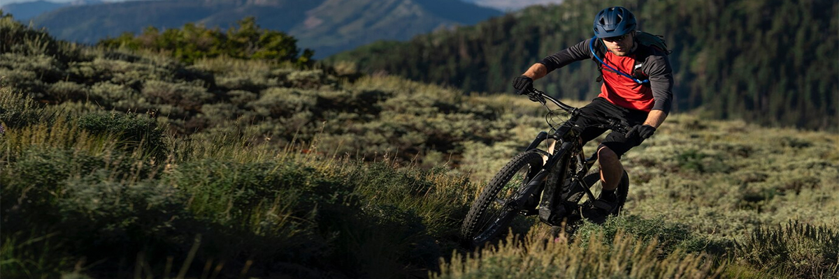 electric-mountain-bike.jpg